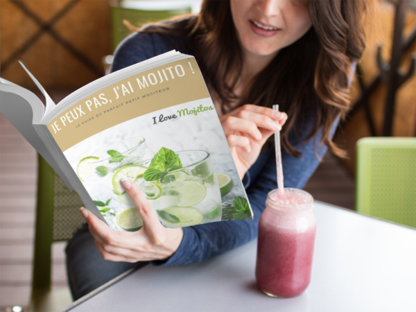 Le Guide Du Parfait Mojiteur